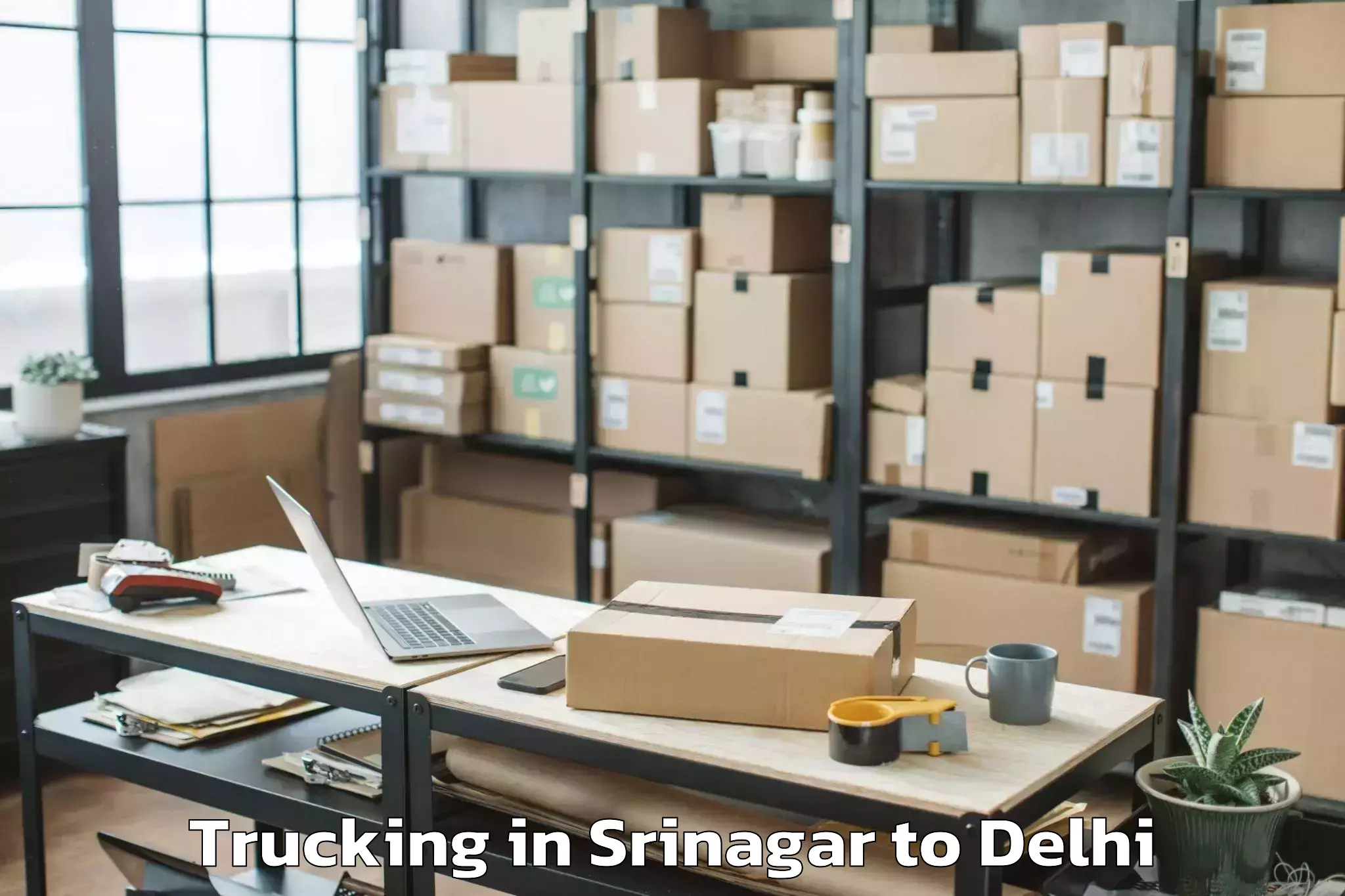 Leading Srinagar to Palam Trucking Provider